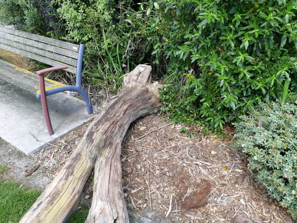 The photograph attached to this parks report