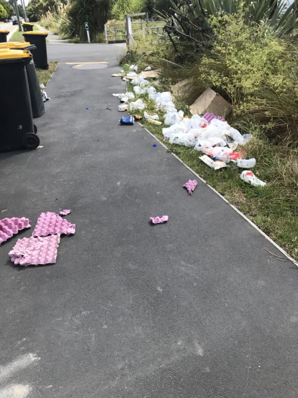The photograph attached to this rubbish/recycling report