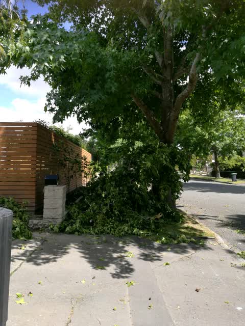 Roading/Streets, a report photo