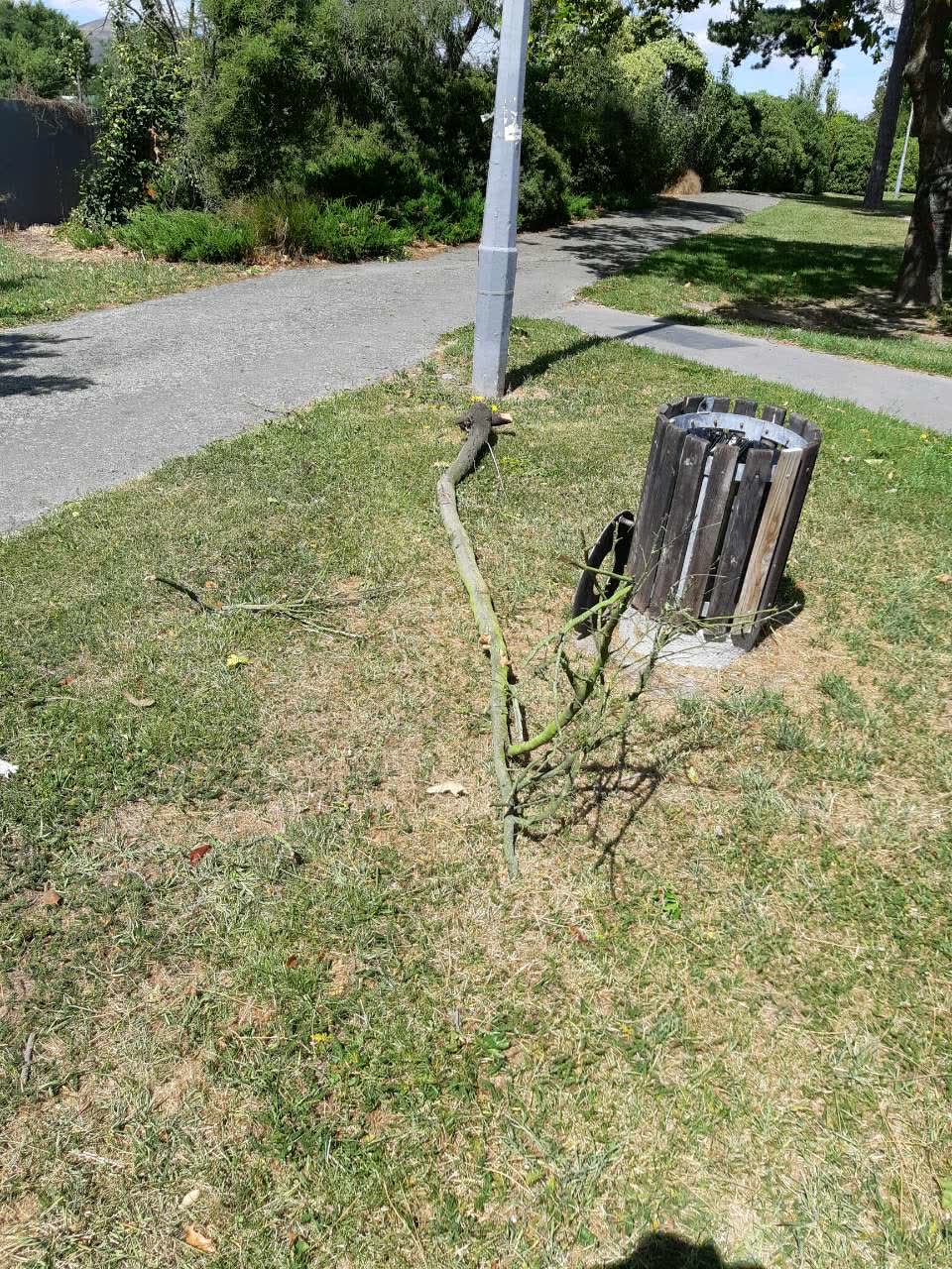 The photograph attached to this parks report