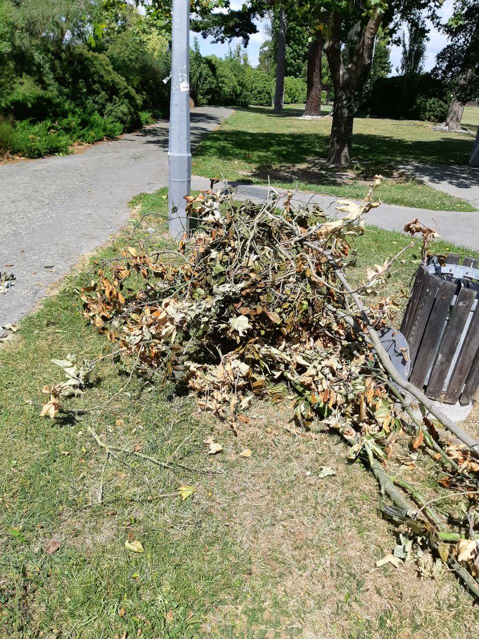 The photograph attached to this parks report