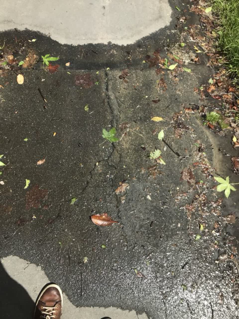 The photograph attached to this water supply report
