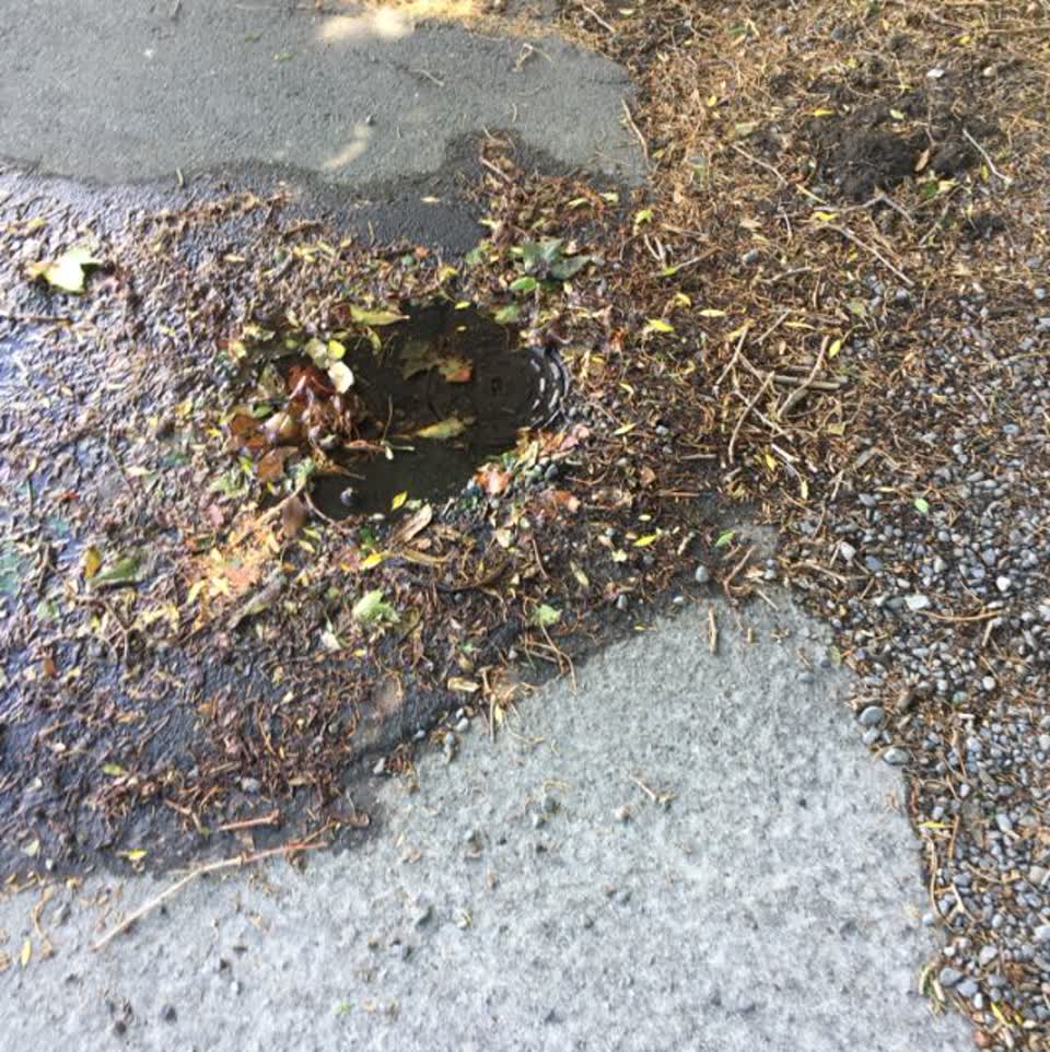 The photograph attached to this water supply report