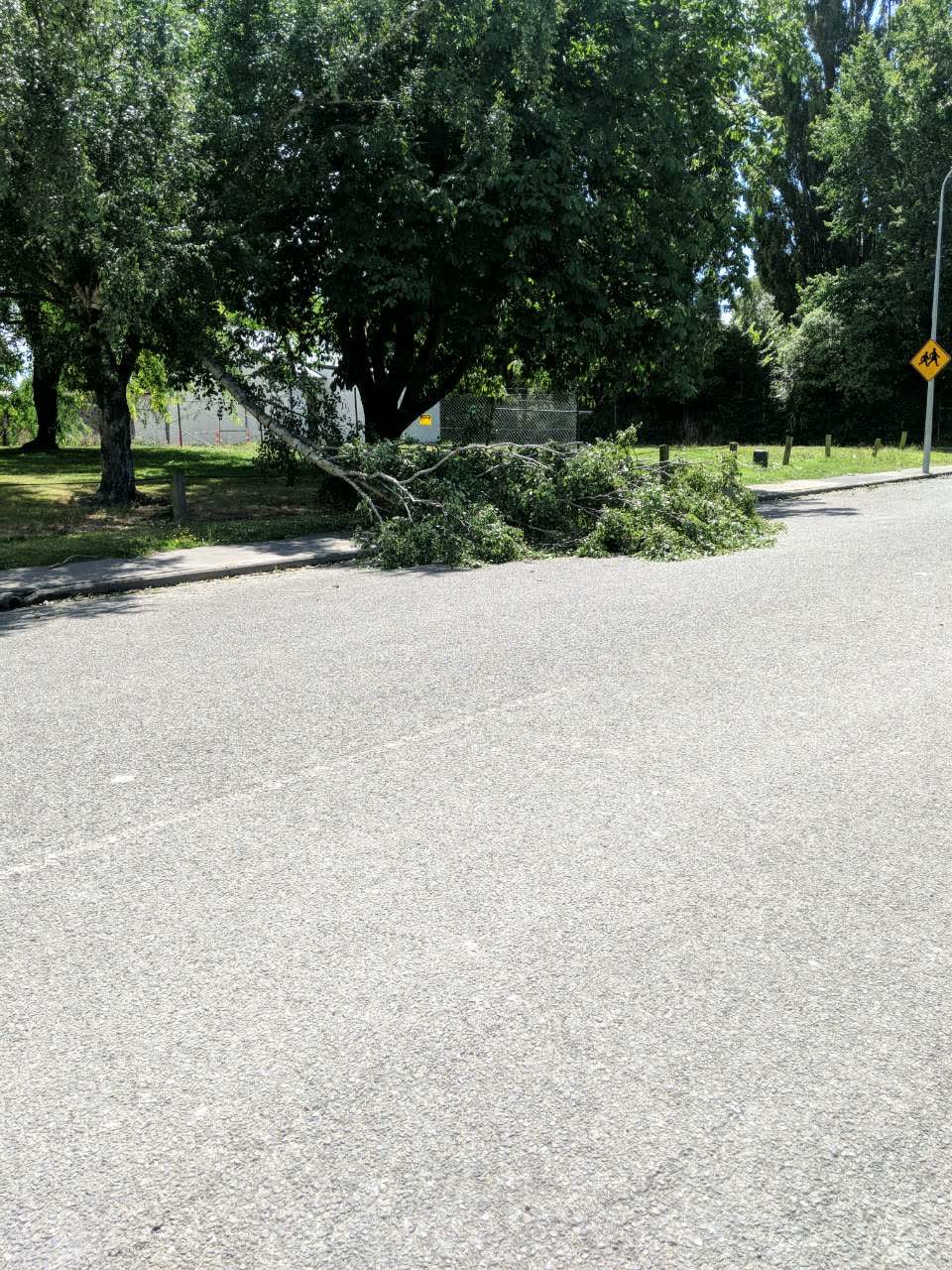The photograph attached to this parks report