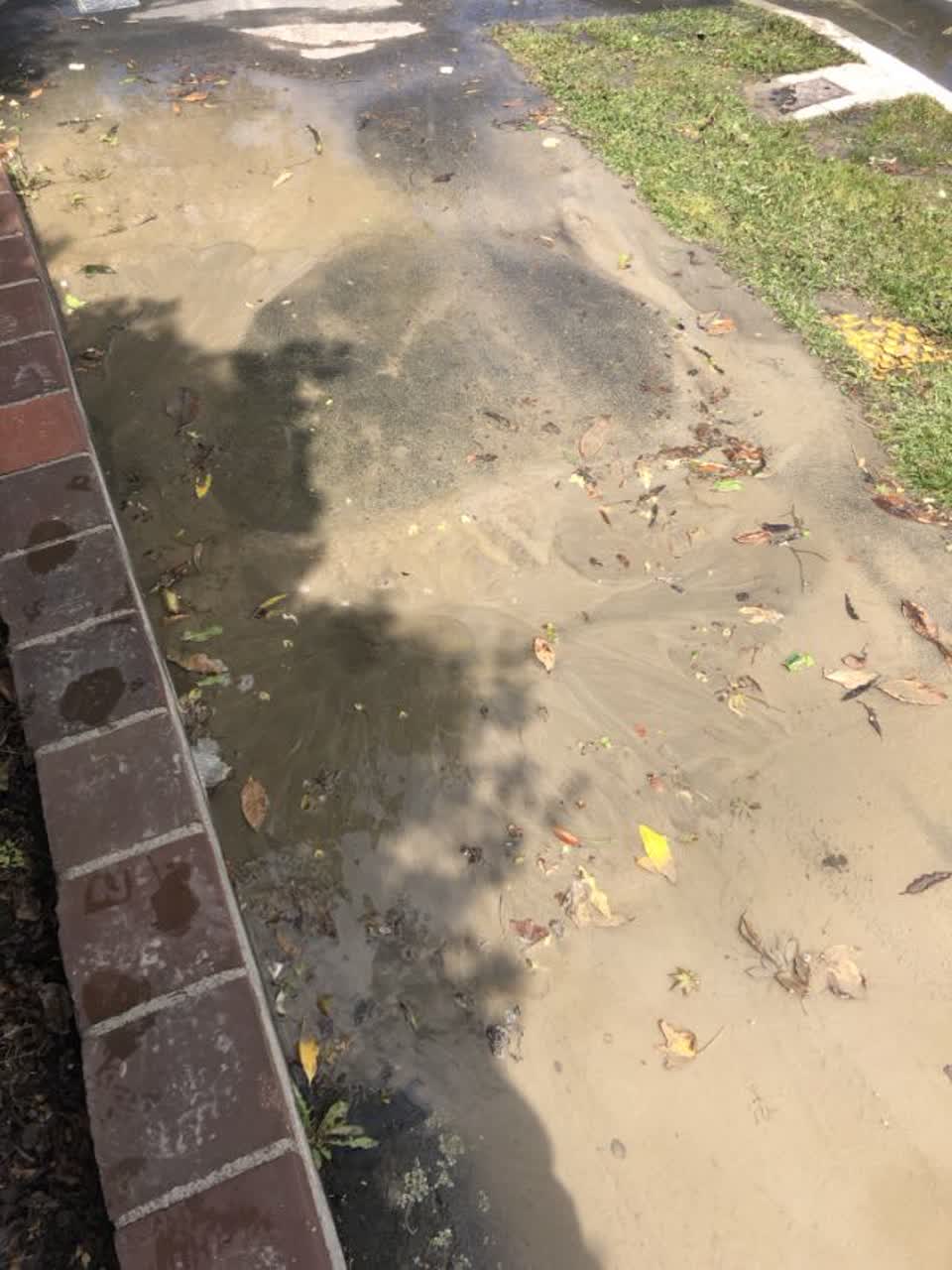 The photograph attached to this water supply report