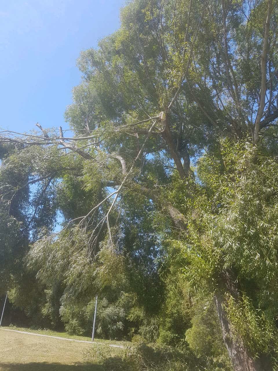 The photograph attached to this parks report