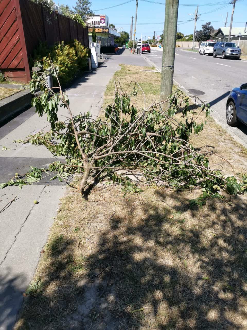 The photograph attached to this roading/streets report