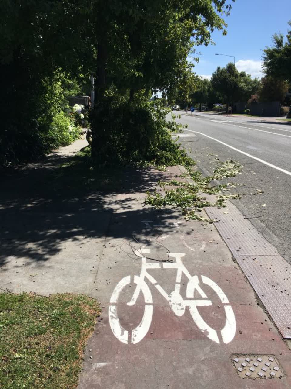 The photograph attached to this roading/streets report