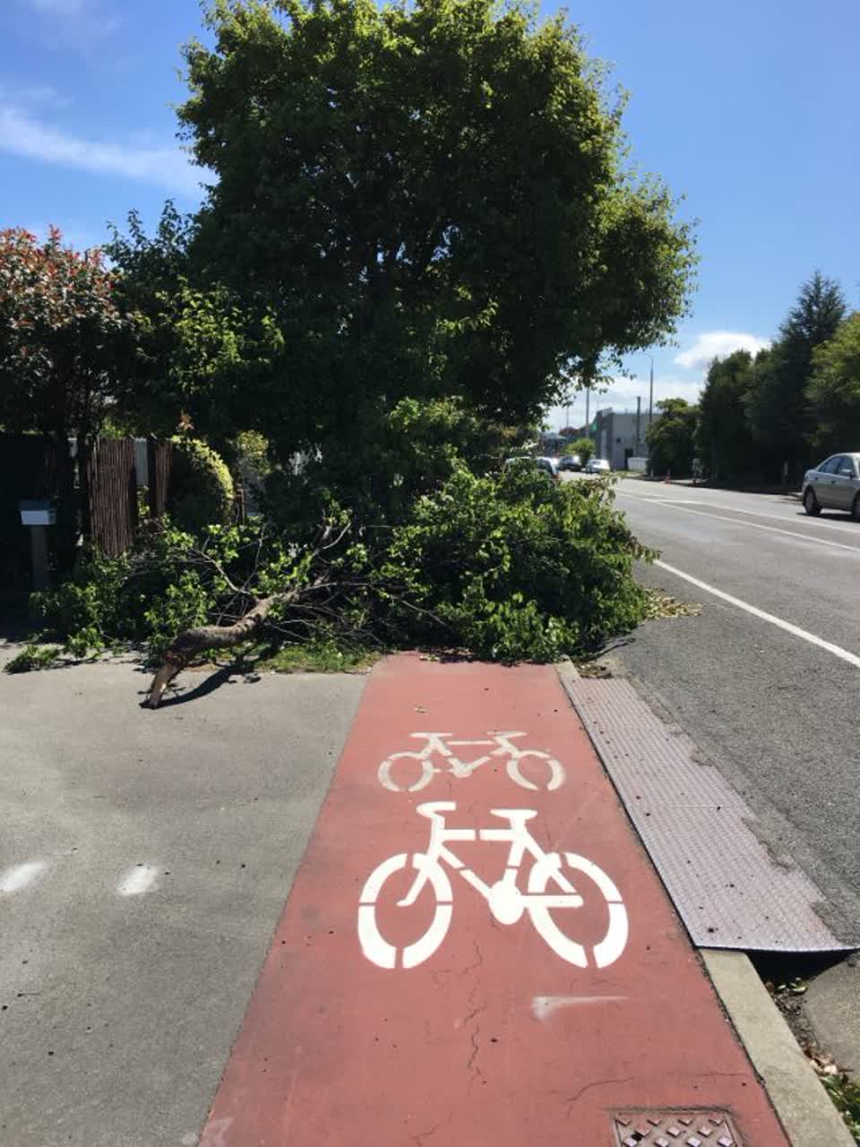 The photograph attached to this roading/streets report