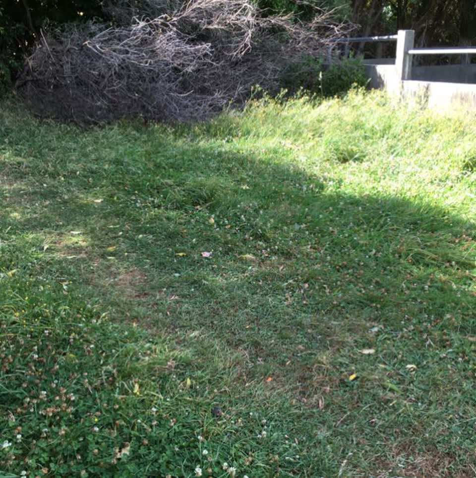 The photograph attached to this parks report
