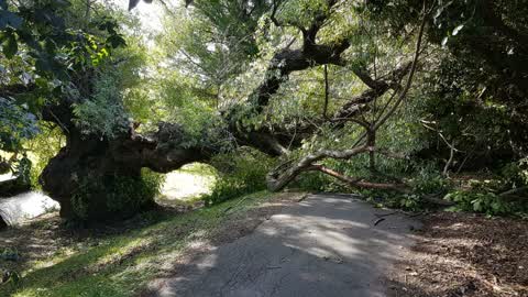 Parks, a report photo