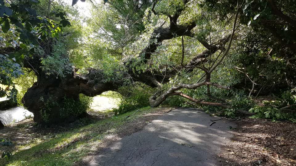 The photograph attached to this parks report