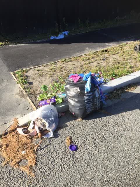 Rubbish/Recycling, a report photo