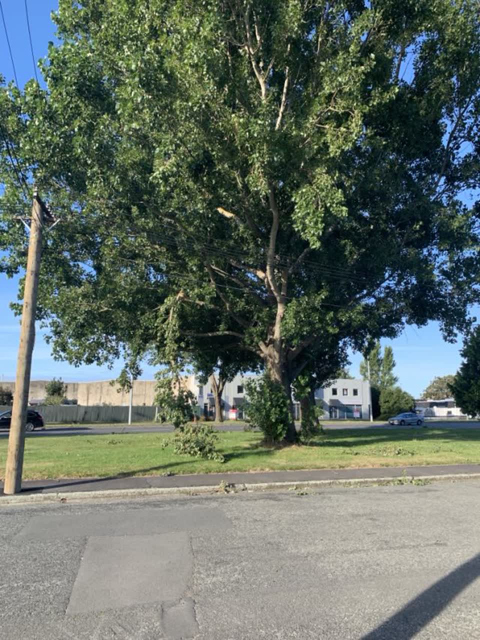 The photograph attached to this parks report