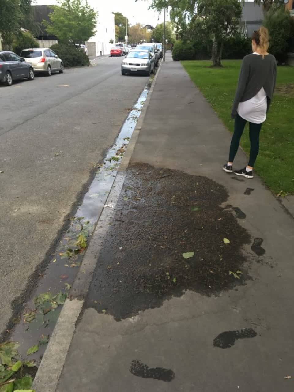 The photograph attached to this water supply report