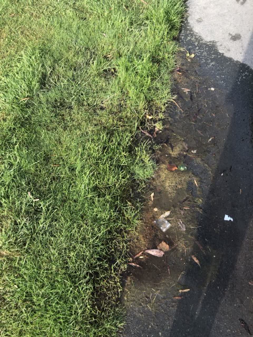 The photograph attached to this water supply report