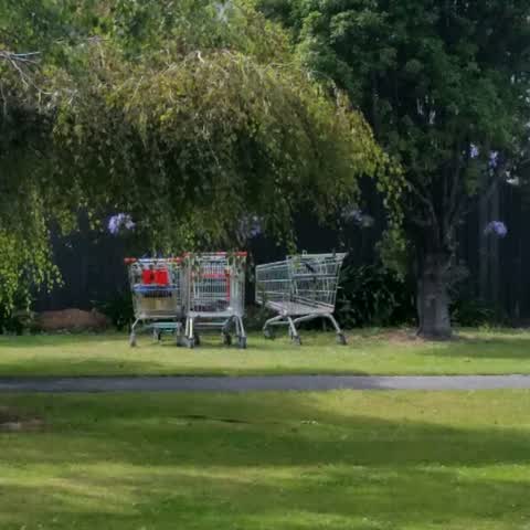 Rubbish/Recycling, a report photo