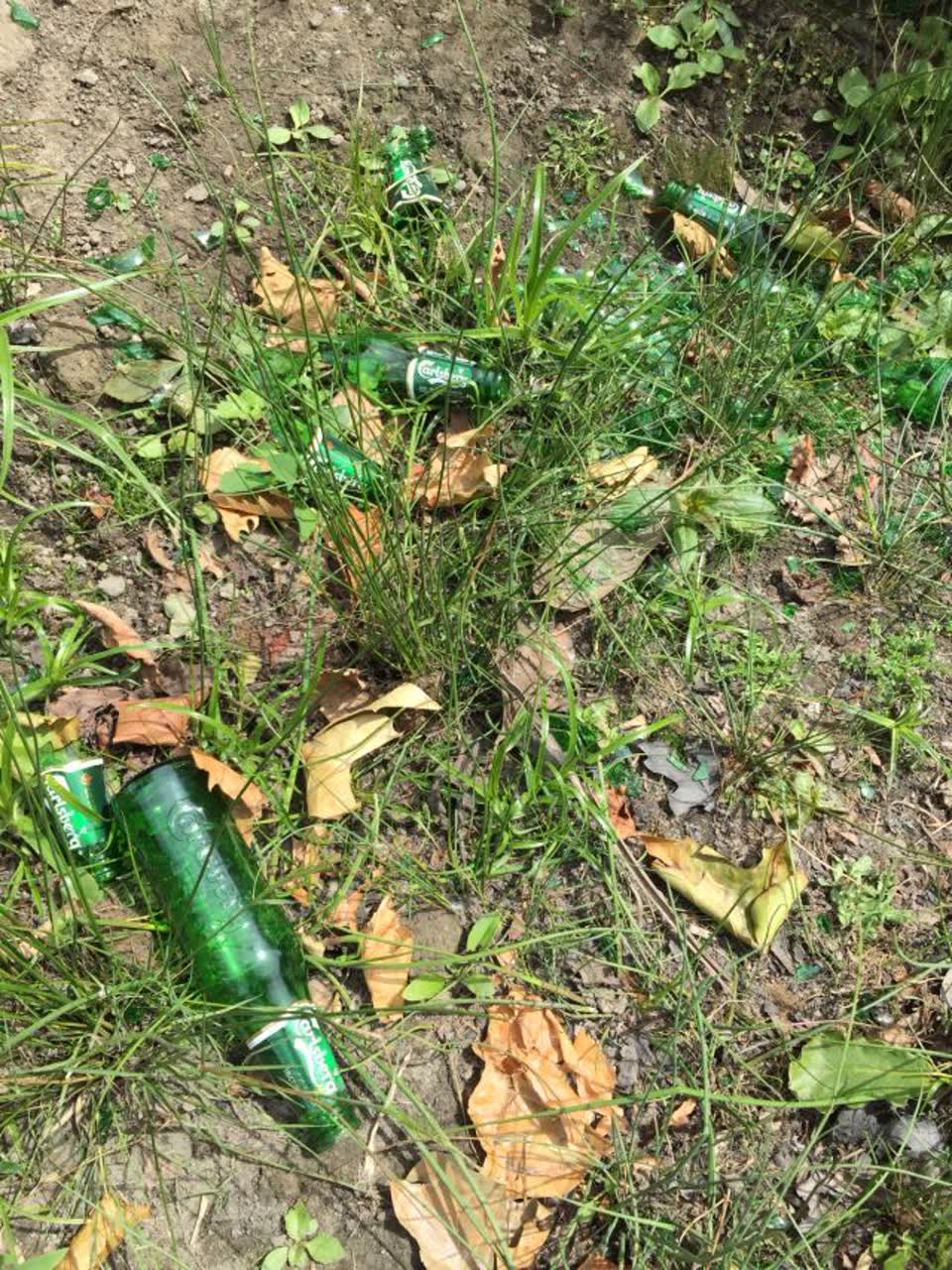 The photograph attached to this rubbish/recycling report