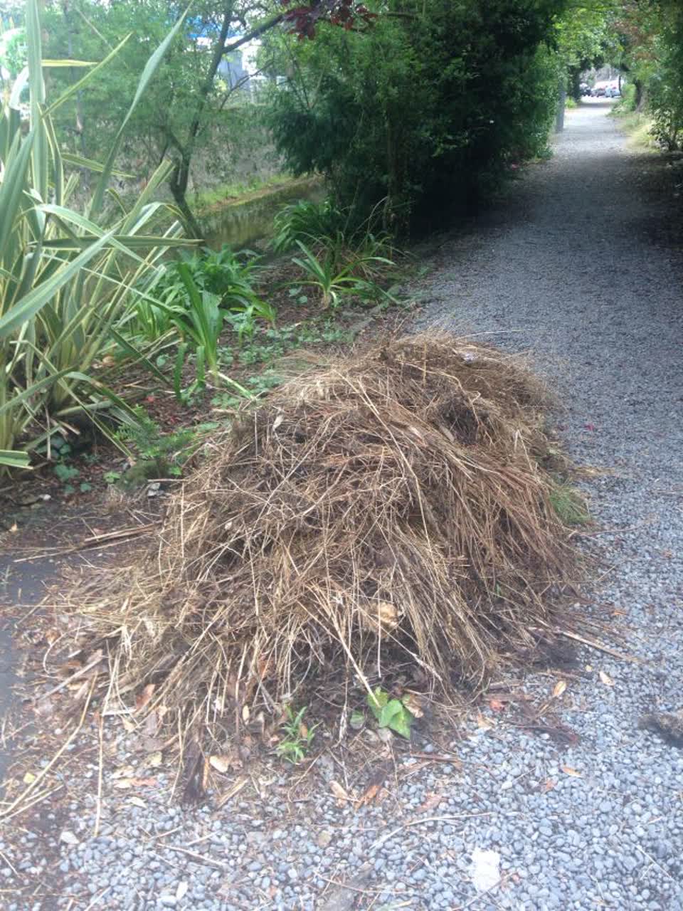 The photograph attached to this parks report