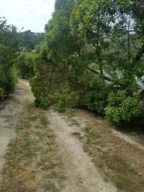 Parks, a report photo