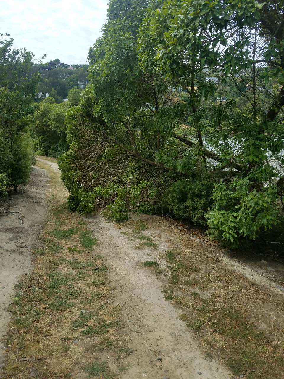 The photograph attached to this parks report