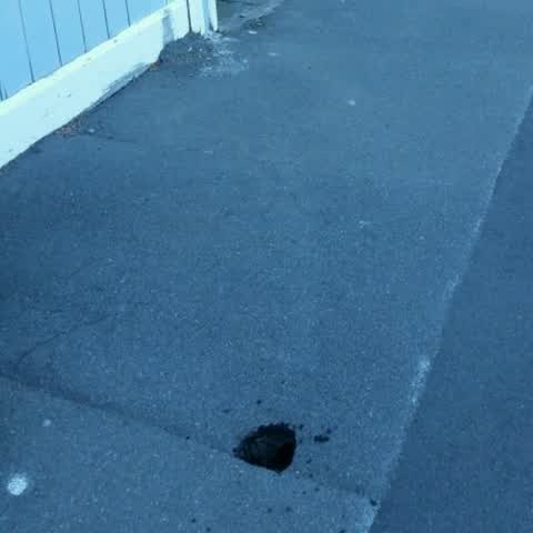 Roading/Streets, a report photo