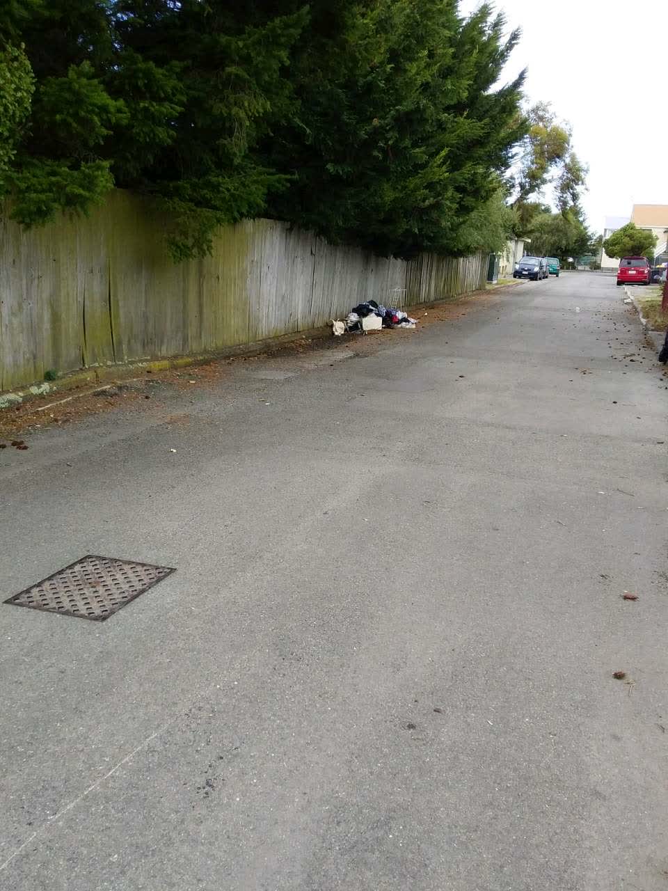 The photograph attached to this rubbish/recycling report