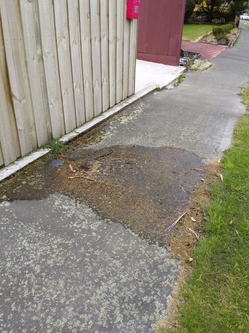 The photograph attached to this water supply report