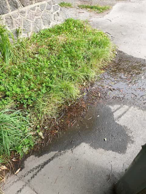 Flooding, a report photo