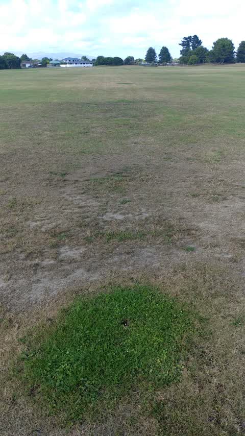 Parks, a report photo