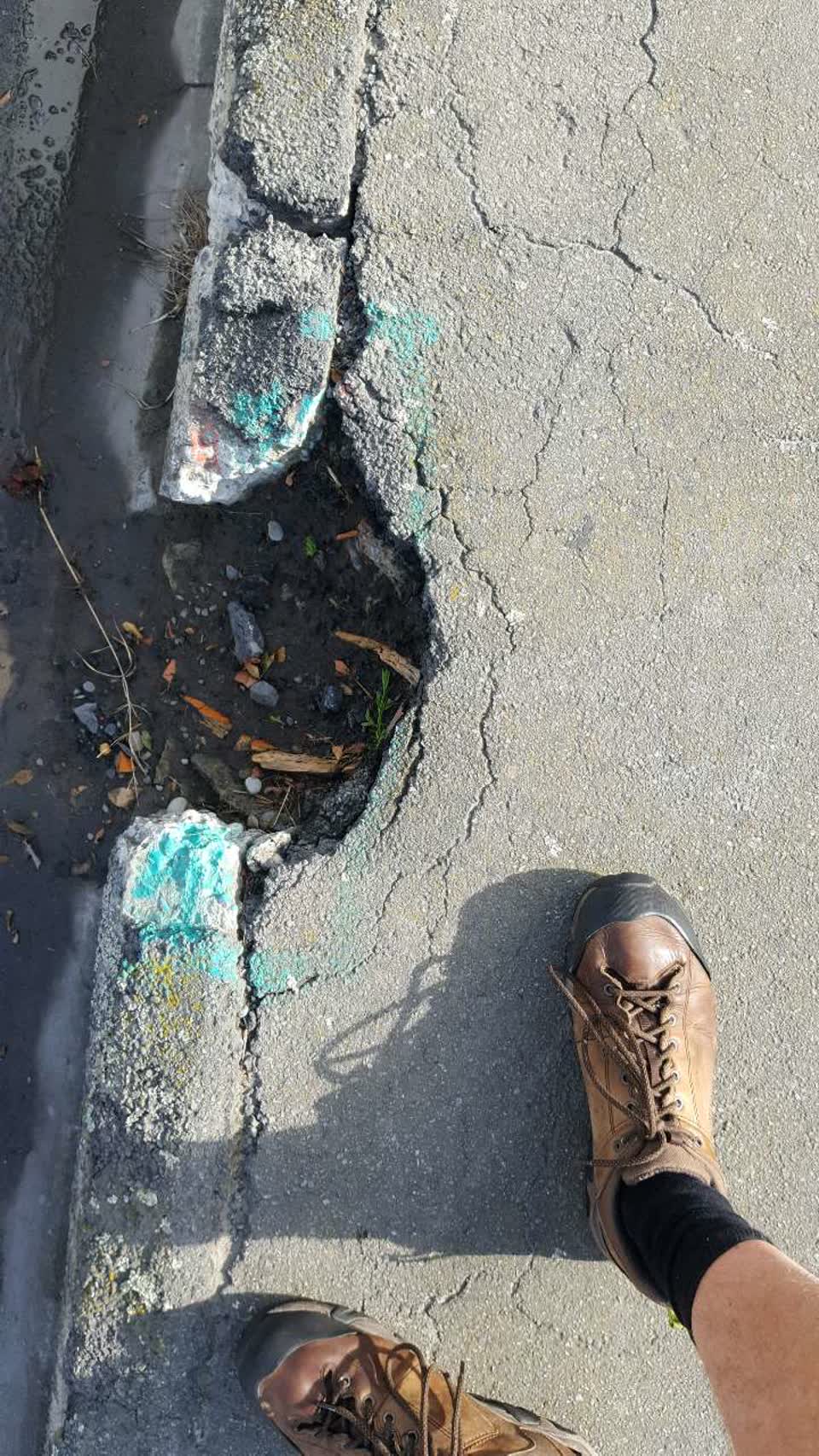 The photograph attached to this roading/streets report
