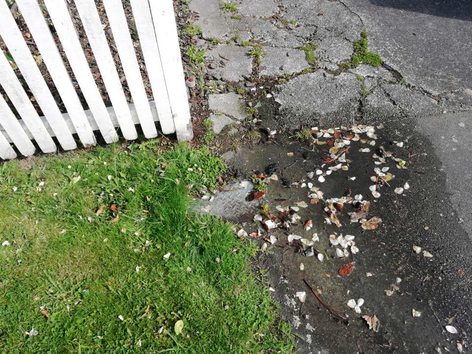 The photograph attached to this water supply report