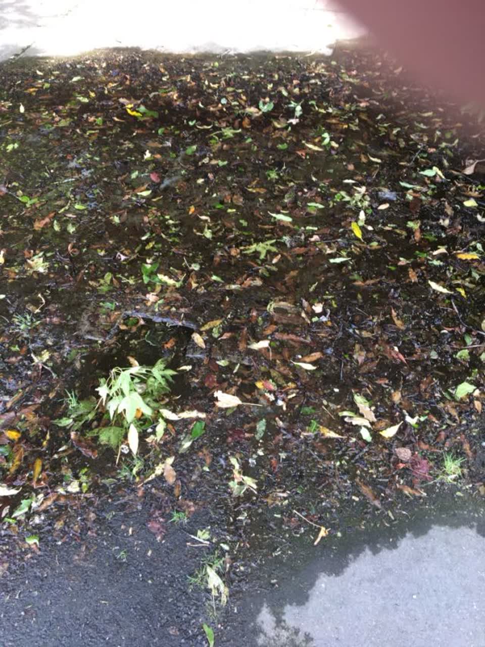 The photograph attached to this water supply report