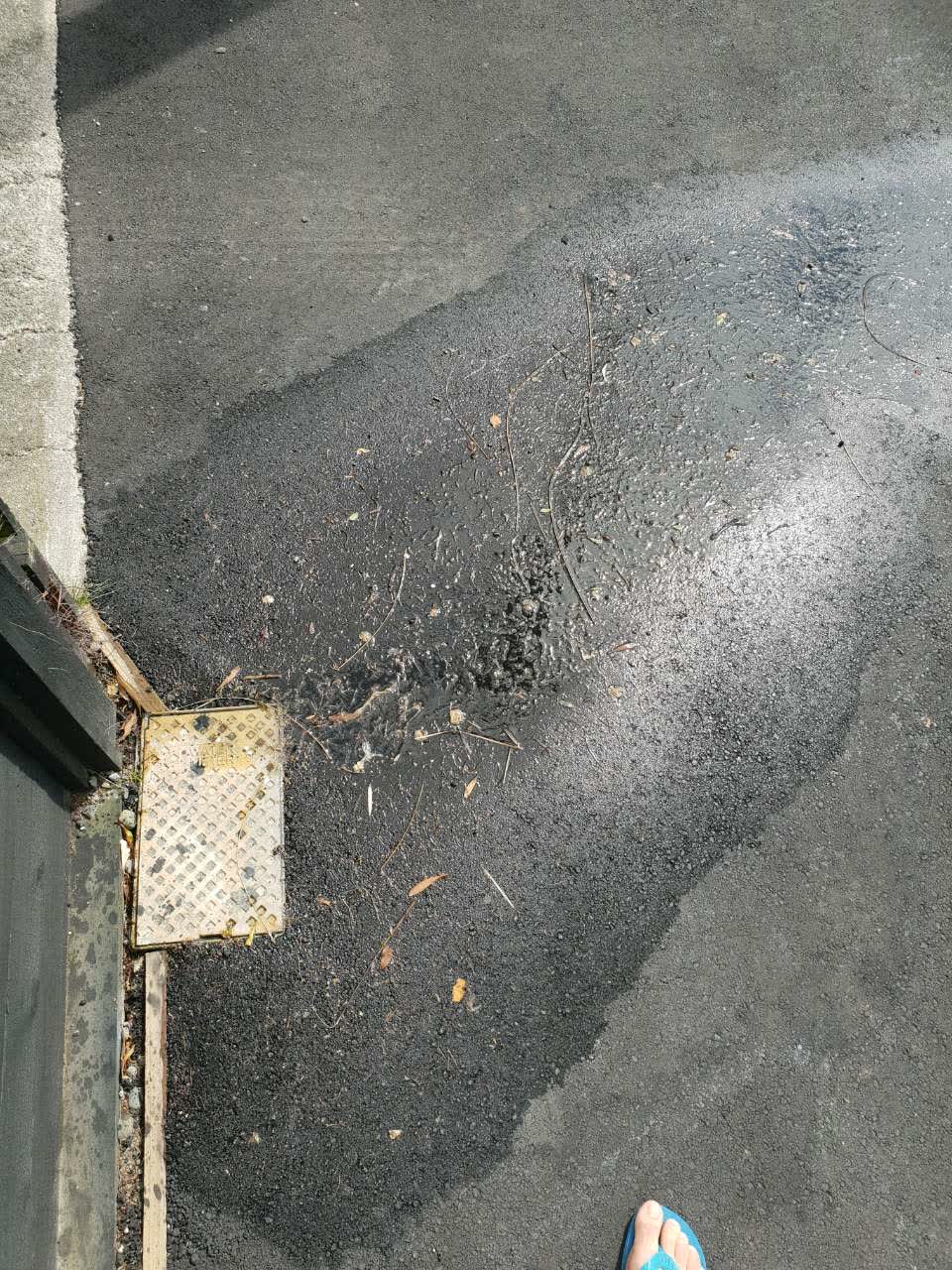 The photograph attached to this water supply report