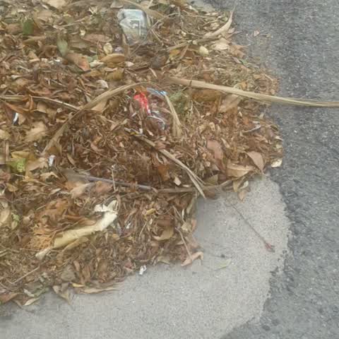 Wastewater/Stormwater — a report photo