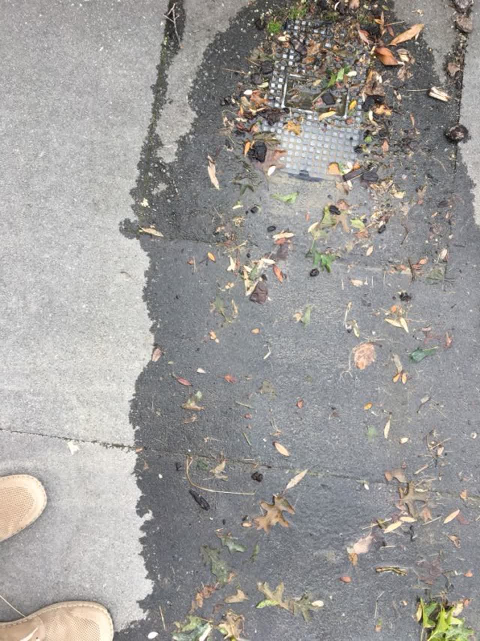 The photograph attached to this water supply report
