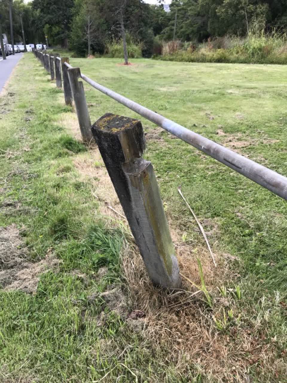 The photograph attached to this parks report