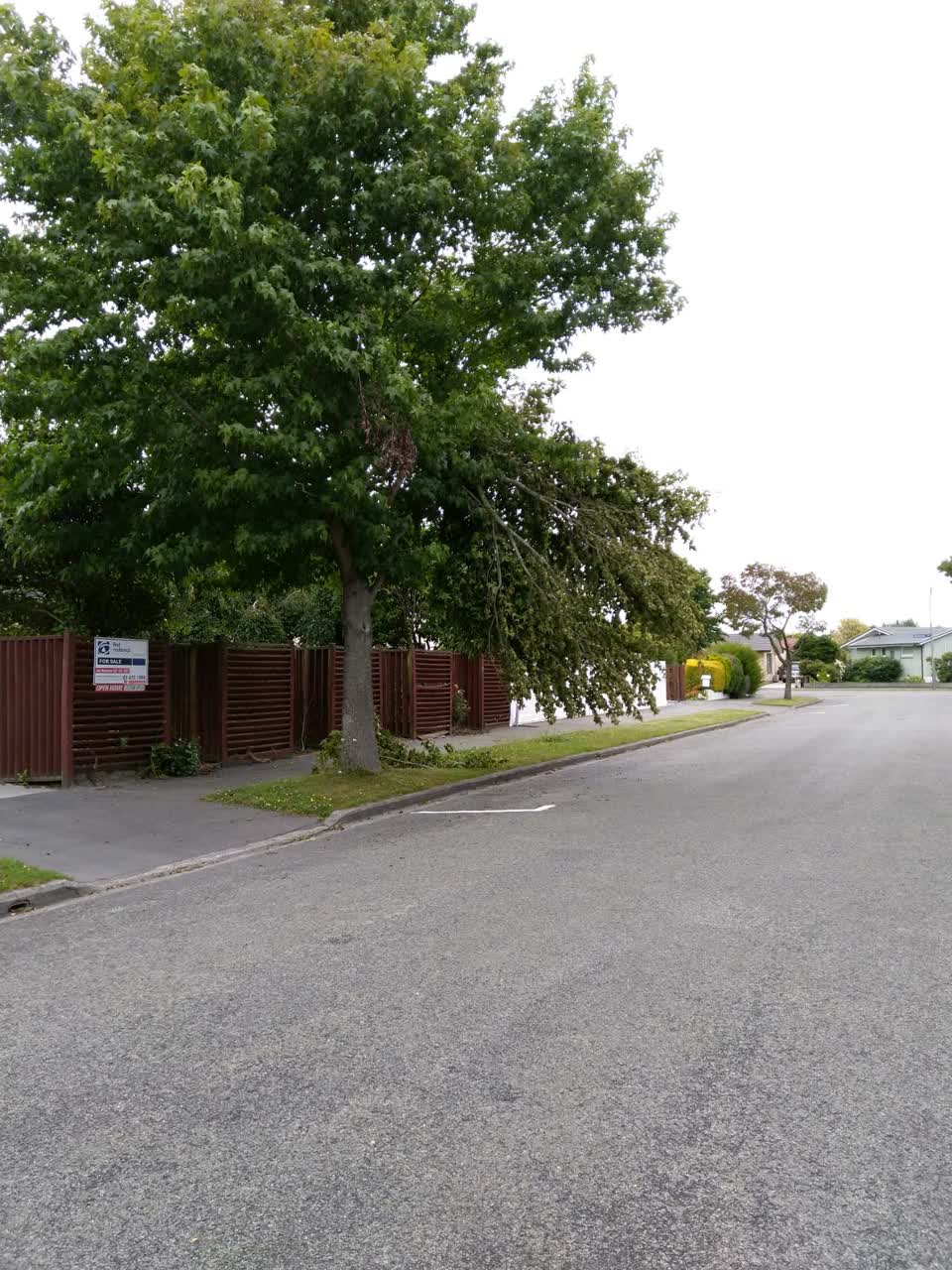 The photograph attached to this roading/streets report