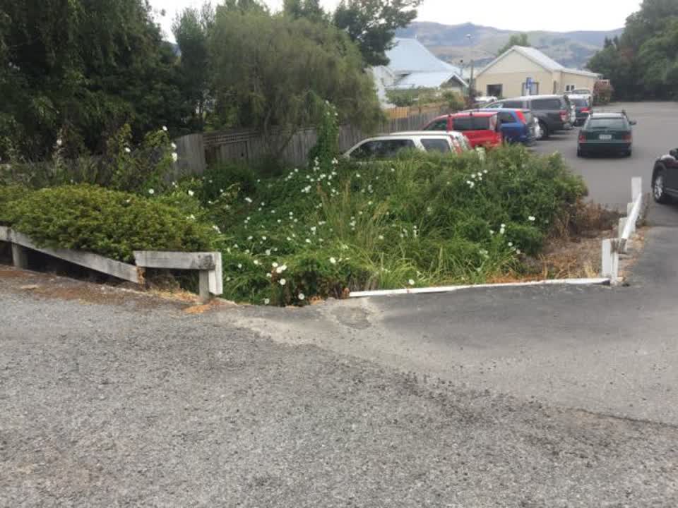 The photograph attached to this parks report