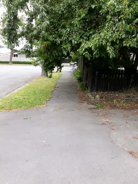 Roading/Streets, a report photo
