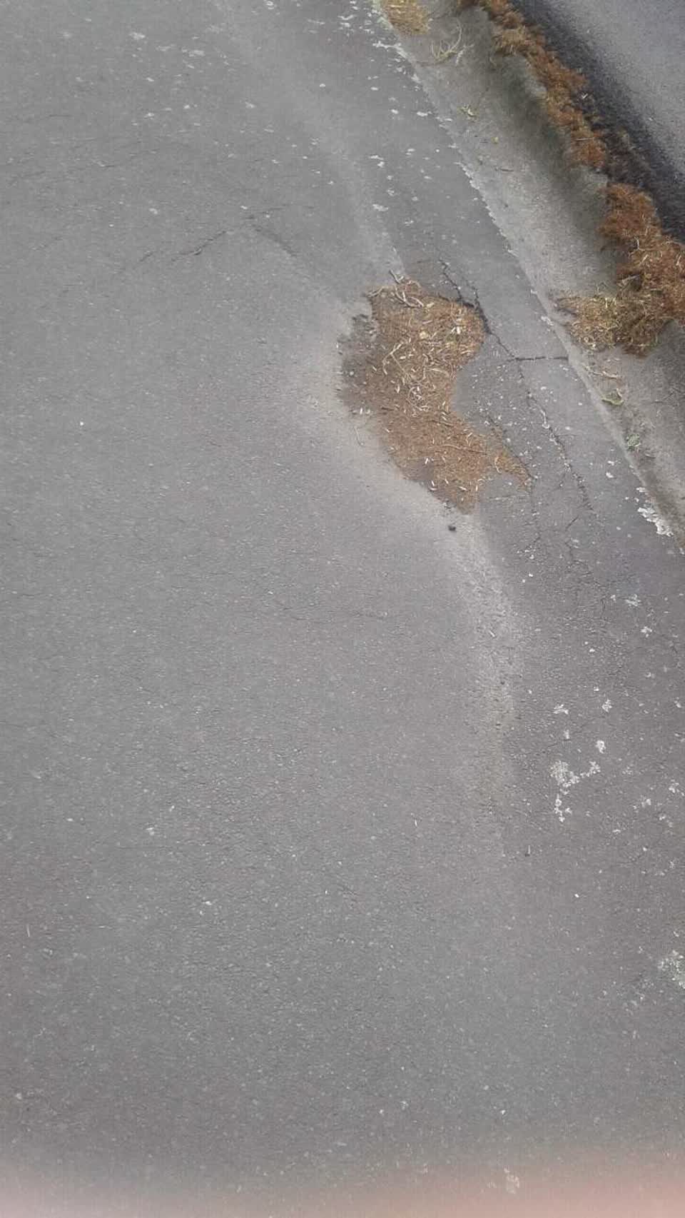 The photograph attached to this roading/streets report