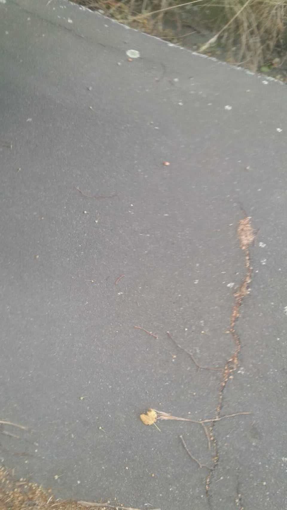 The photograph attached to this roading/streets report