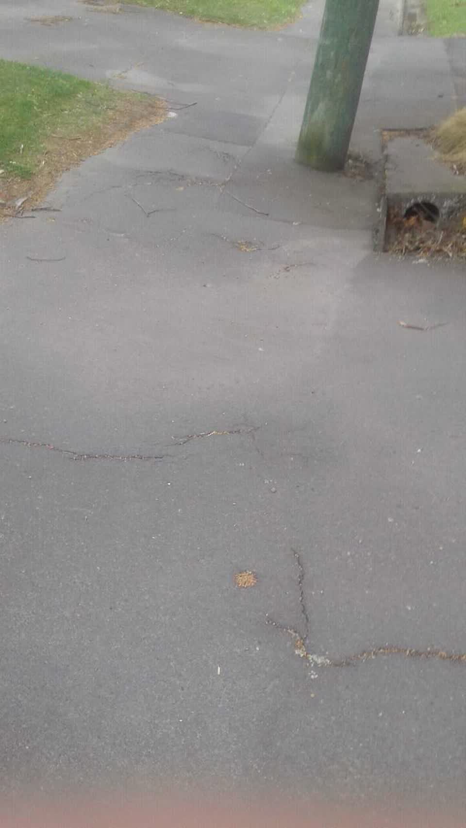 The photograph attached to this roading/streets report