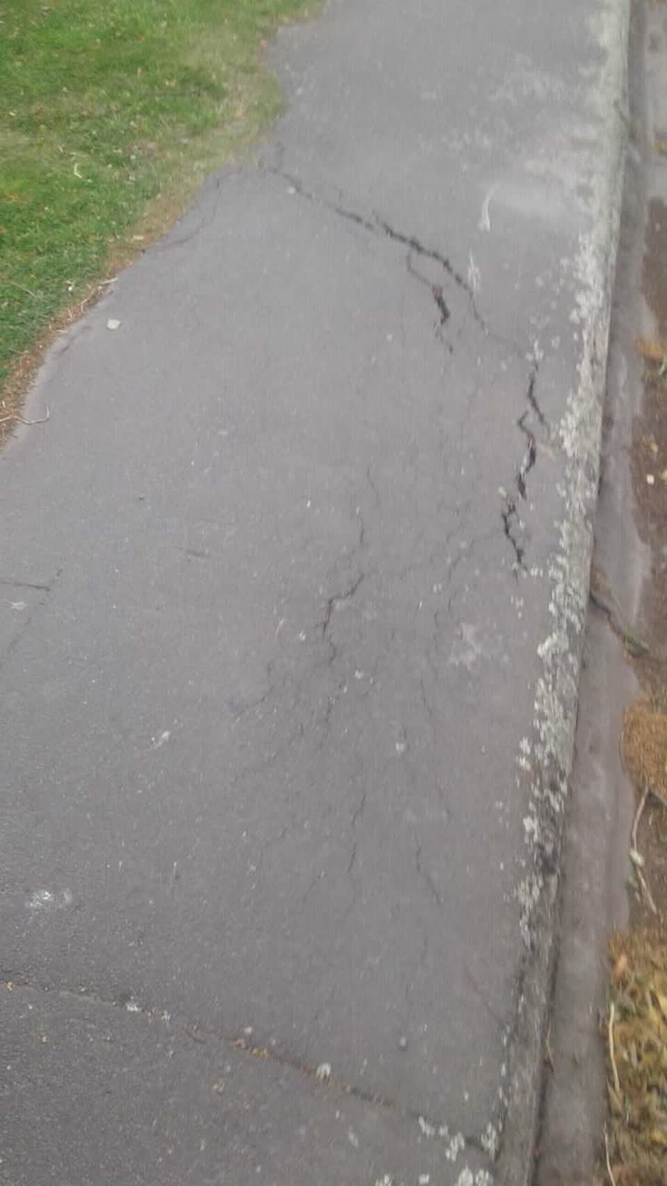 The photograph attached to this roading/streets report