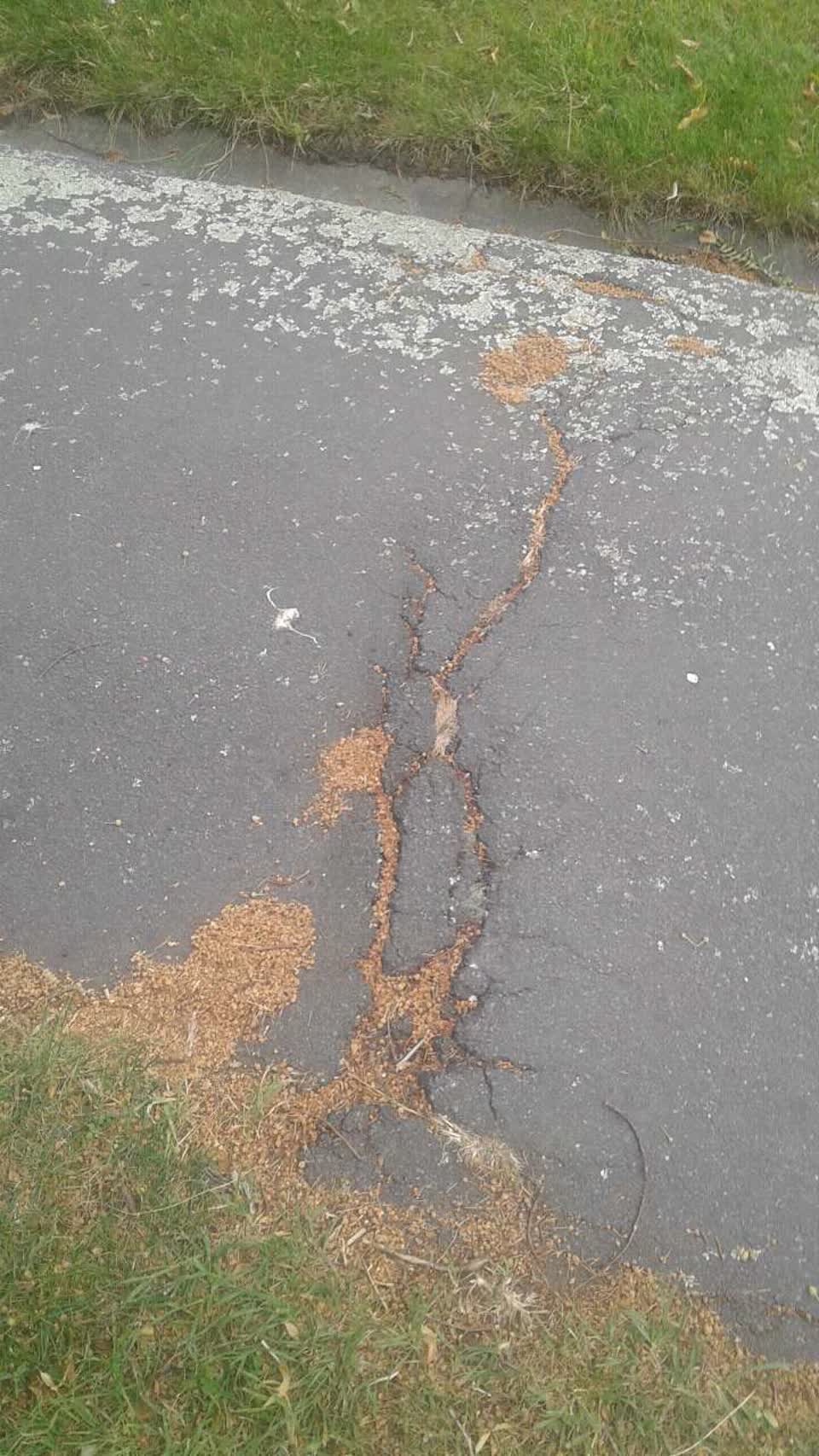 The photograph attached to this roading/streets report