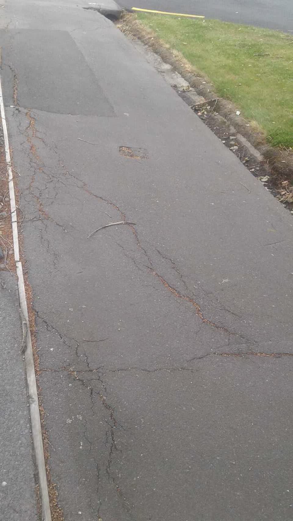 The photograph attached to this roading/streets report