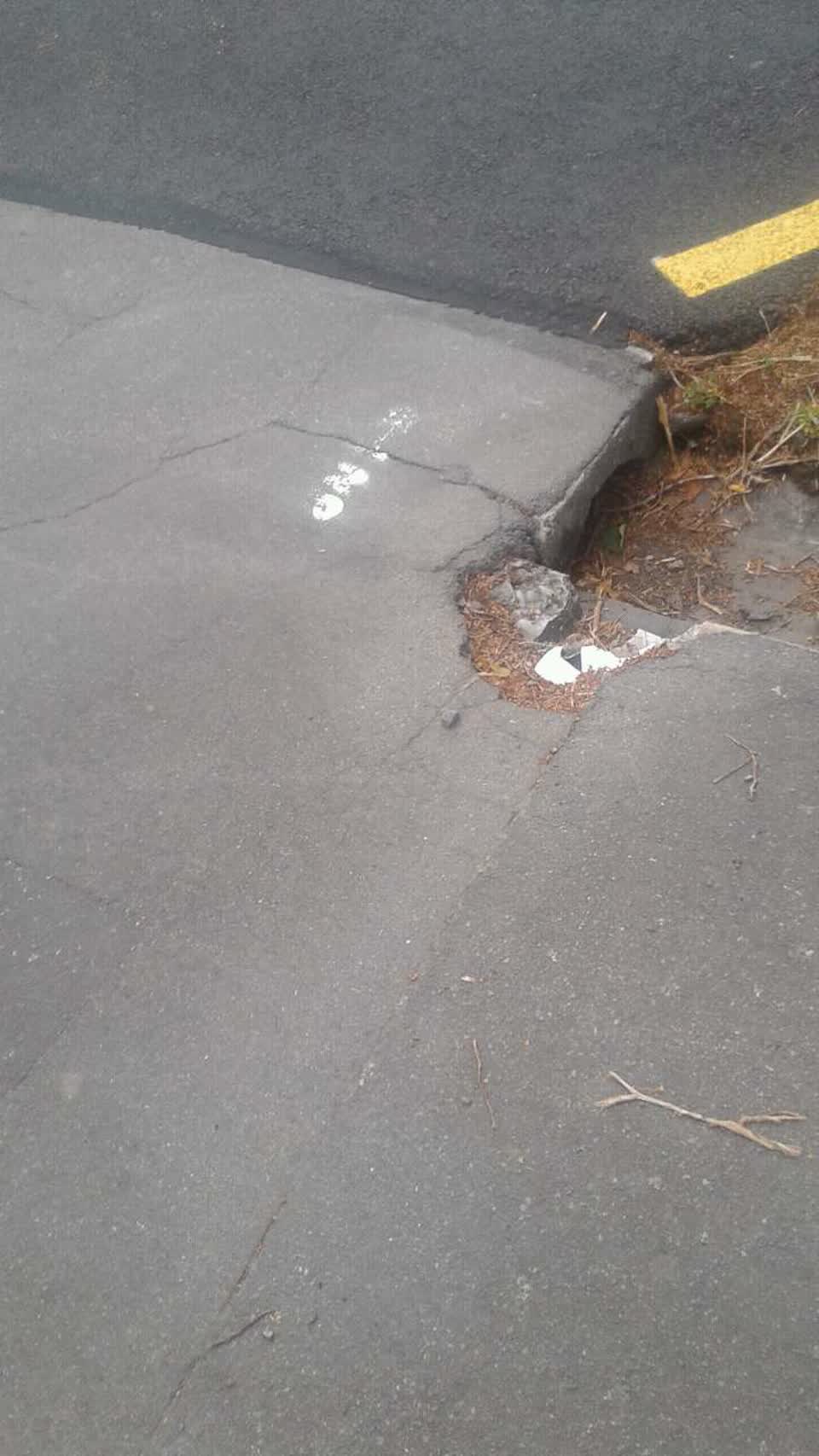 The photograph attached to this roading/streets report