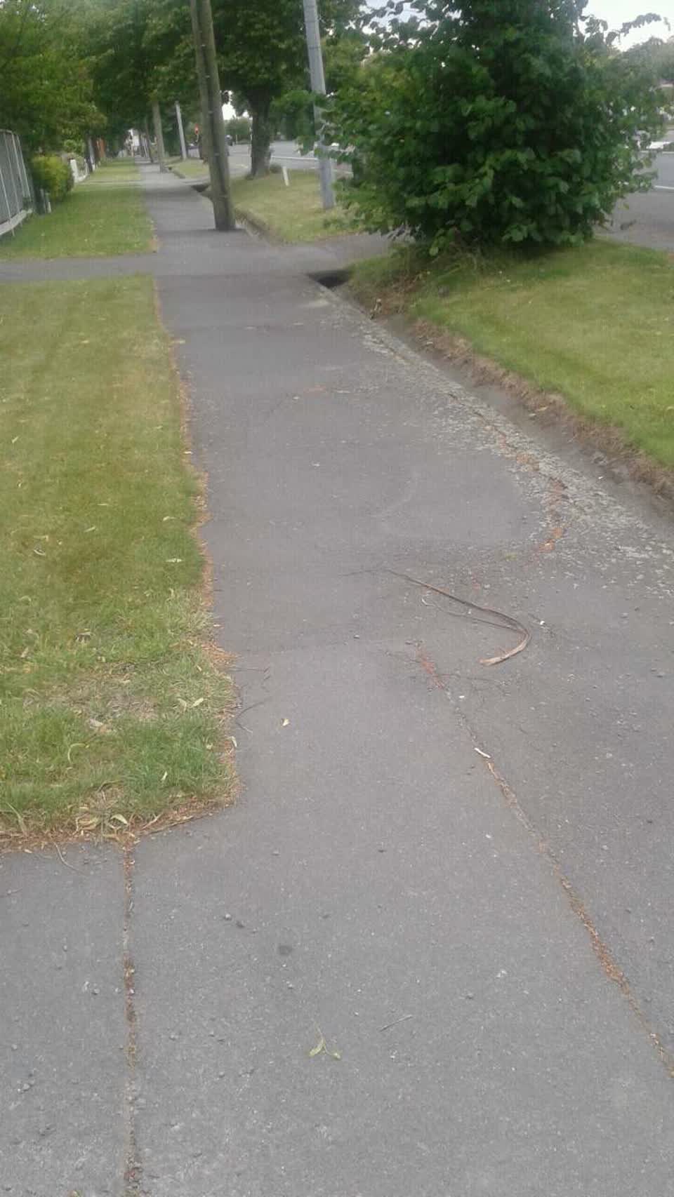 The photograph attached to this roading/streets report