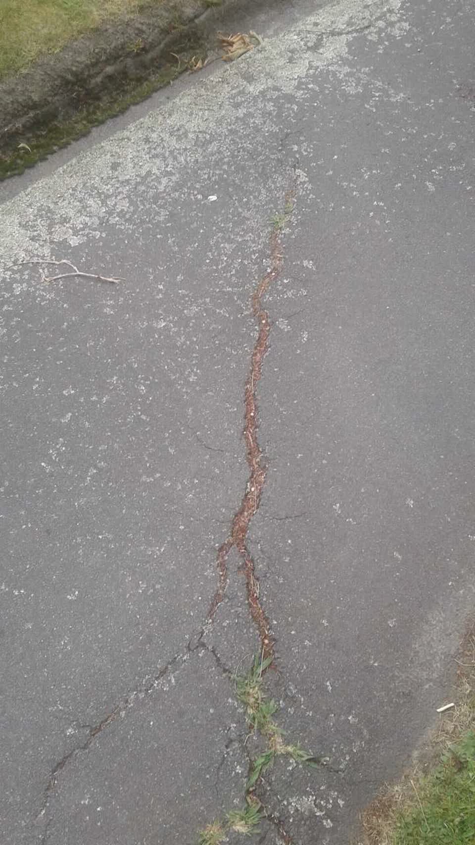 The photograph attached to this roading/streets report