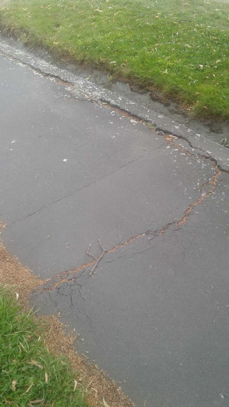 The photograph attached to this roading/streets report